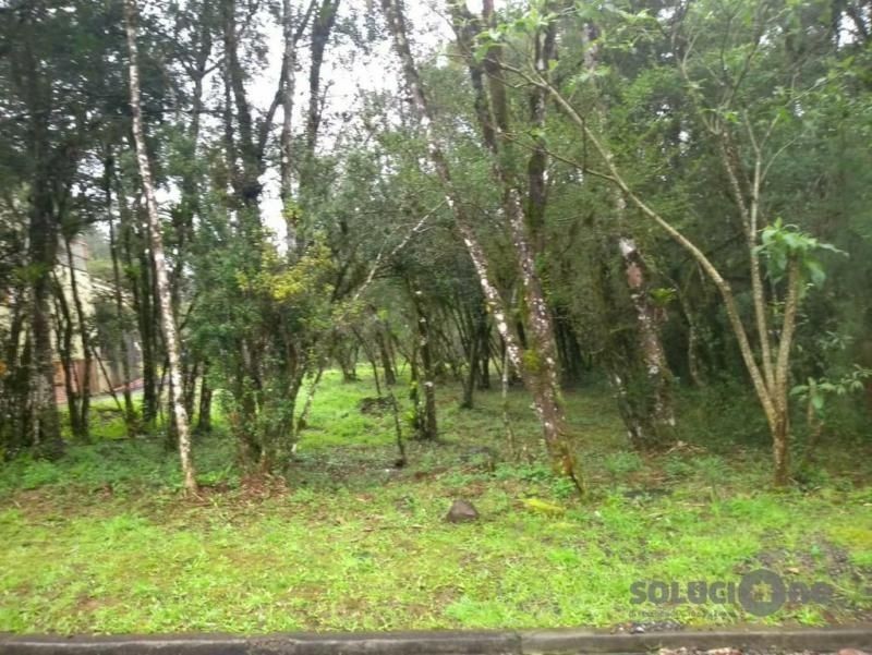 Terreno em Gramado