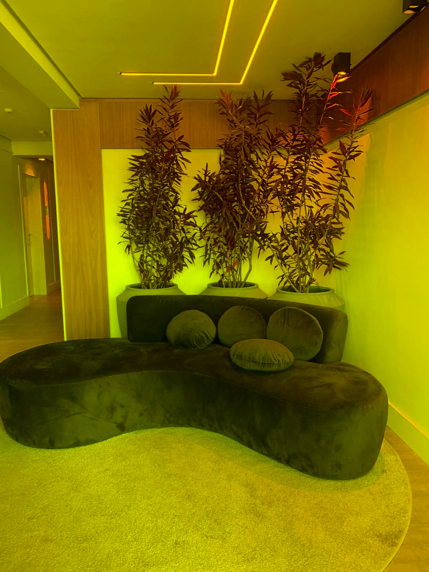 Apartamento em Canela