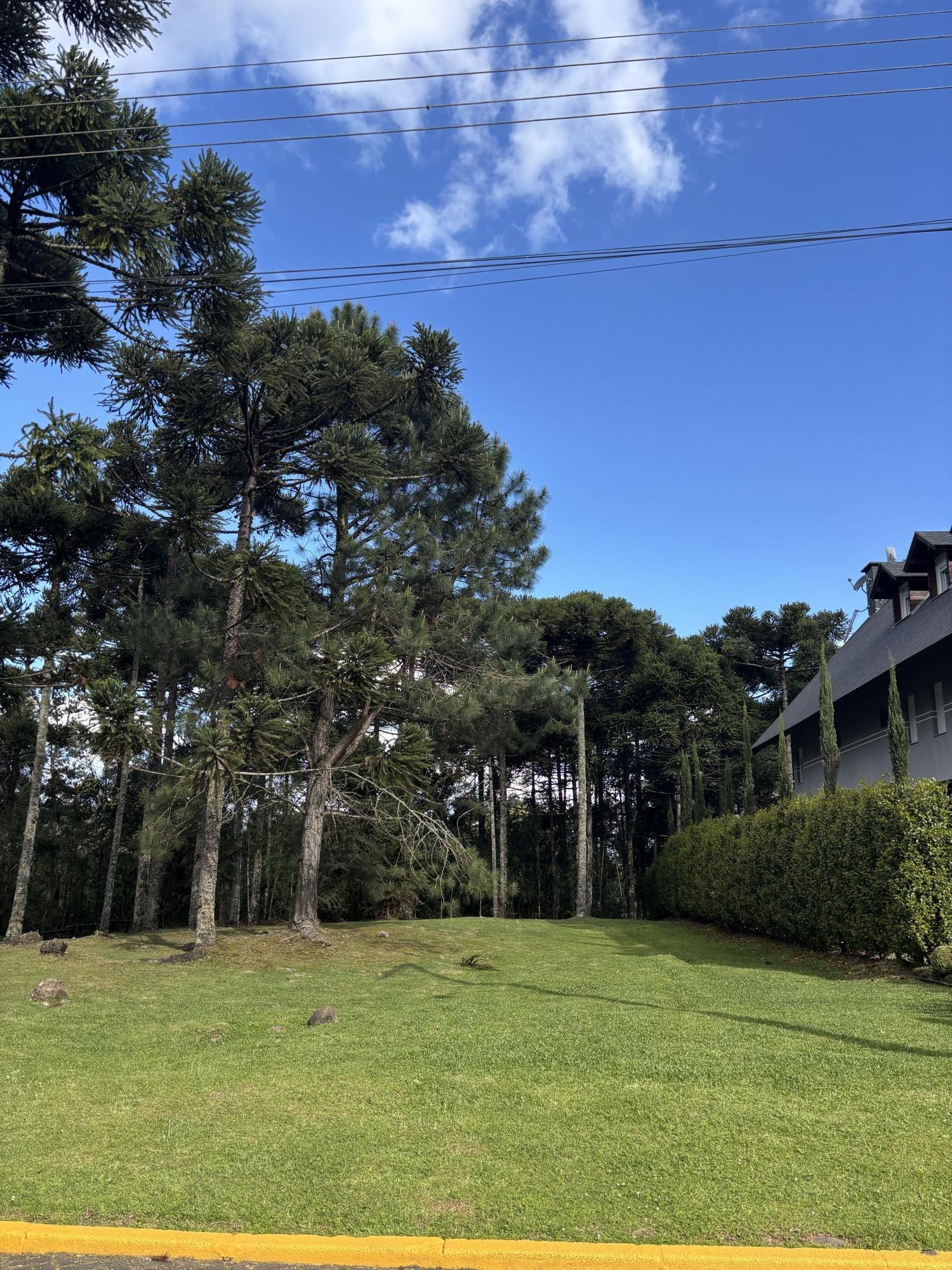 Terreno em Gramado