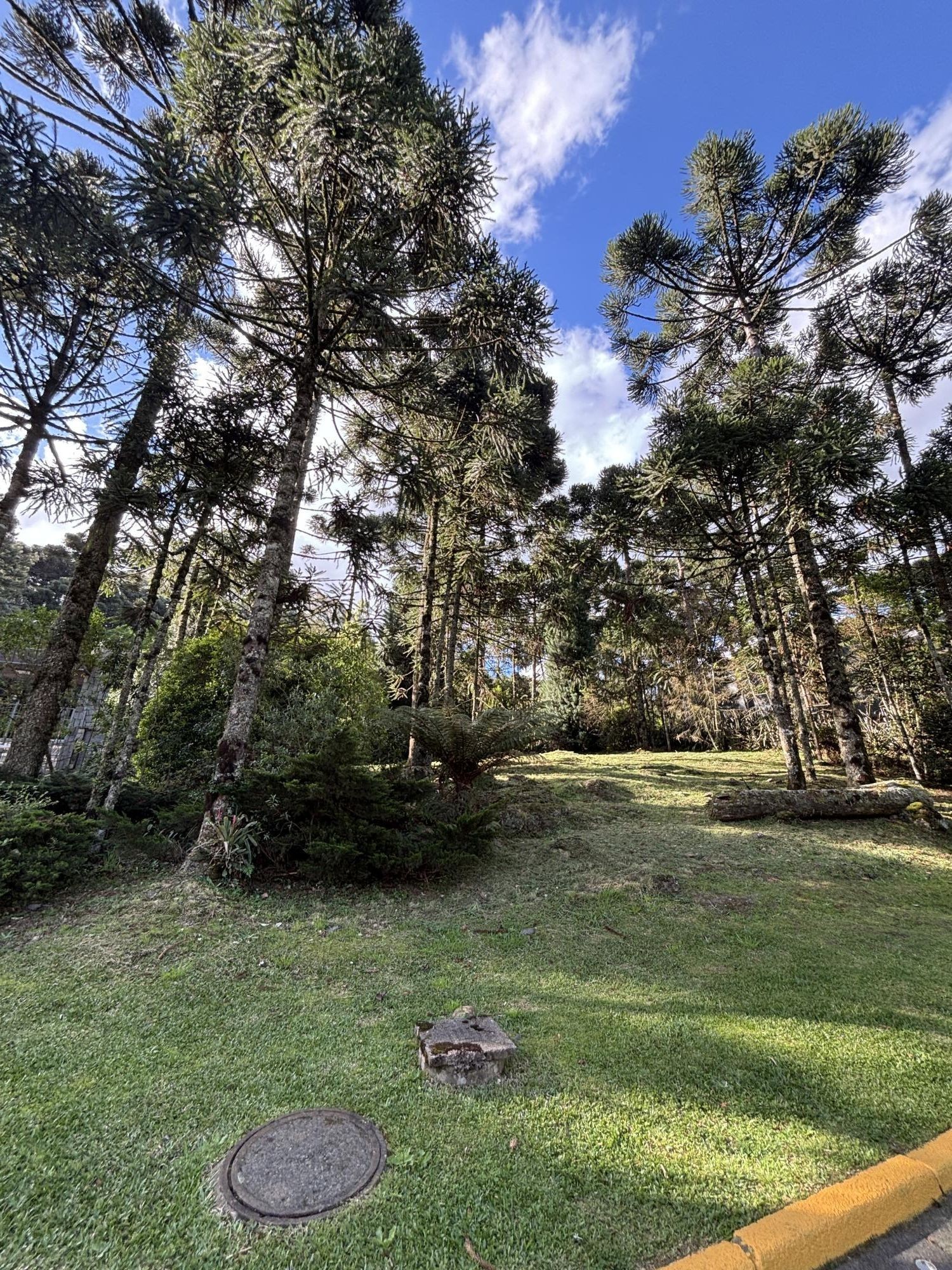 Terreno em Gramado