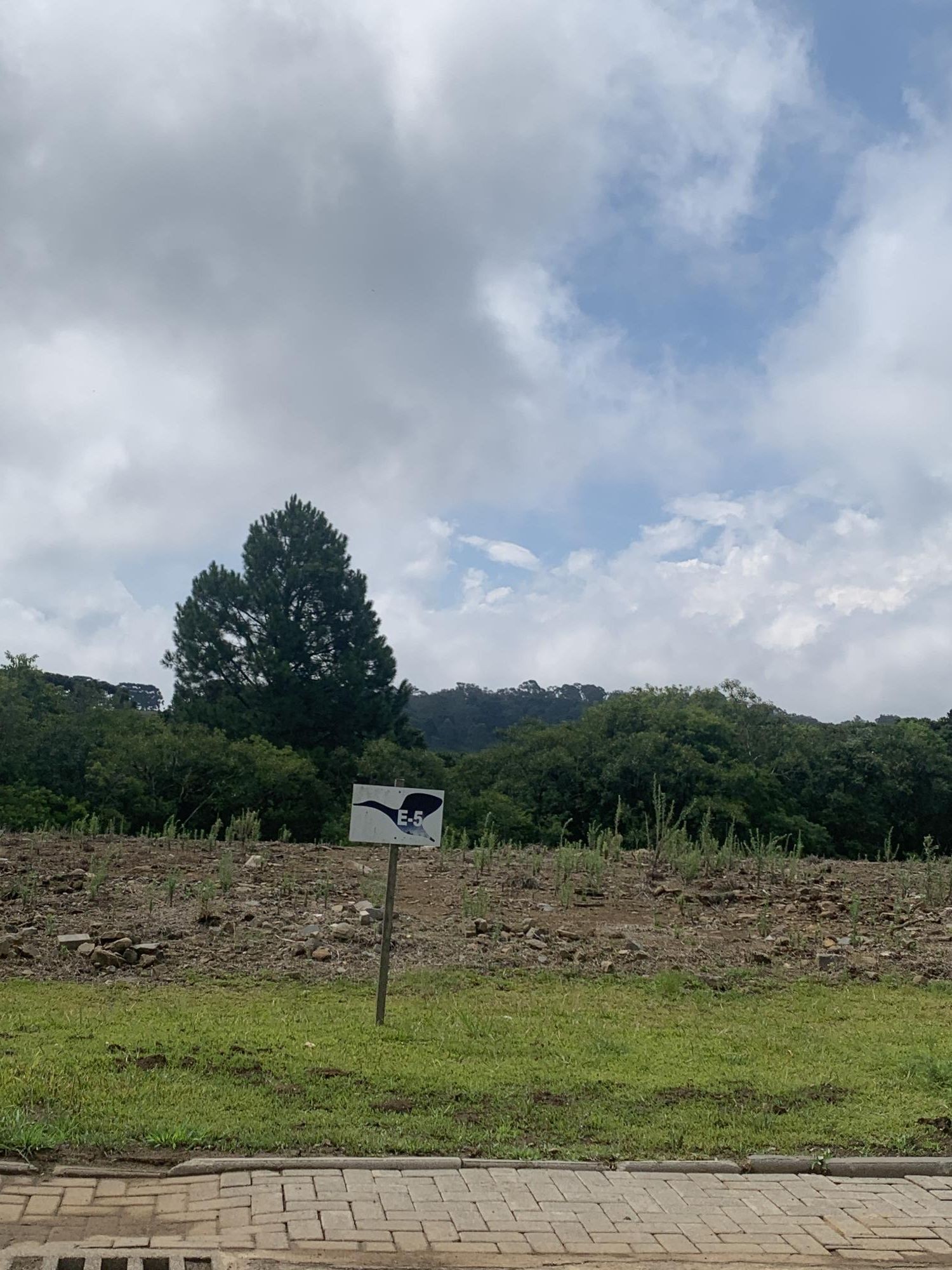 Terreno em Gramado