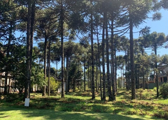 Terreno em Gramado