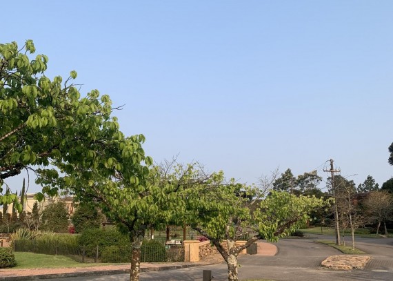 Terreno, no bairro Reserva da Serra em Canela