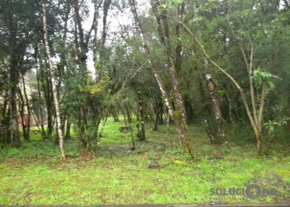 Terreno em Gramado