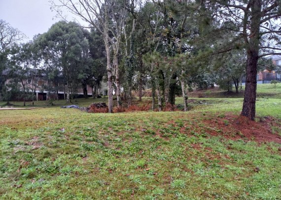 Terreno em Gramado