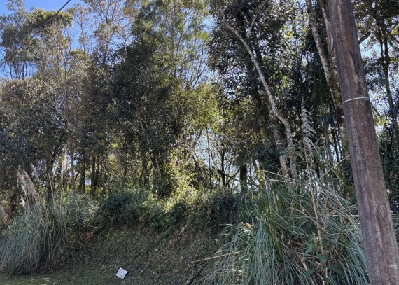 Terreno, no bairro Pórtico em Gramado