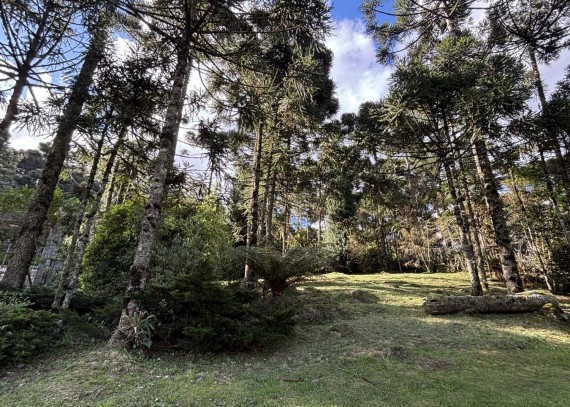 Terreno em Gramado