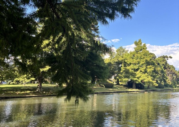 Casa de Condomínio, no bairro Laje de Pedra em Canela