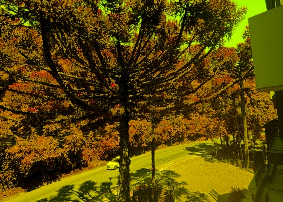 Apartamento, no bairro Avenida Central em Gramado