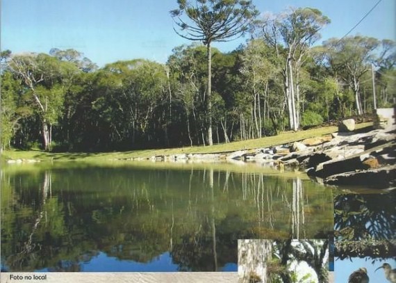 Terreno em Canela