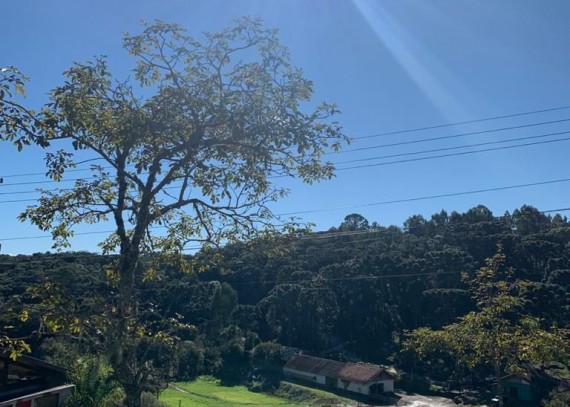 Terreno em Gramado