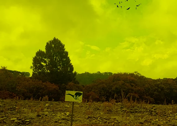Terreno, no bairro Linha Ávila Alta em Gramado