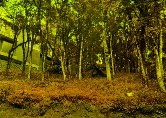 Terreno em Canela