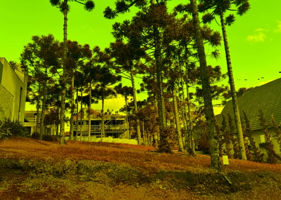Terreno em Gramado
