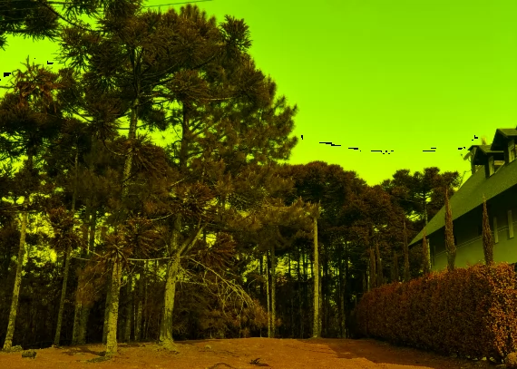 Terreno em Gramado
