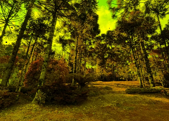 Terreno em Gramado