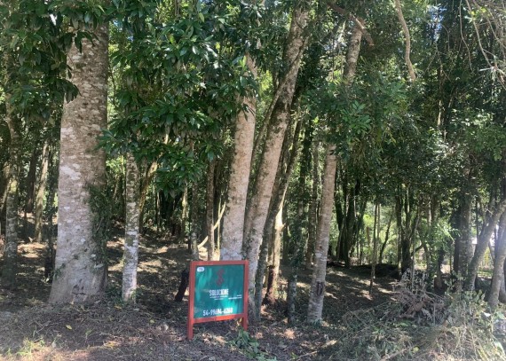 Terreno em Gramado