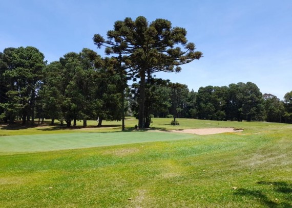 Terreno em Gramado