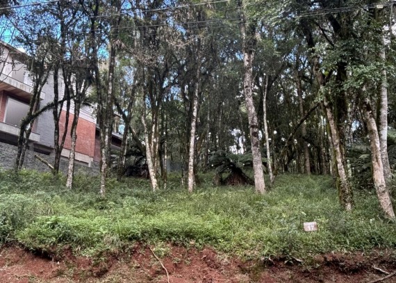 Terreno em Canela