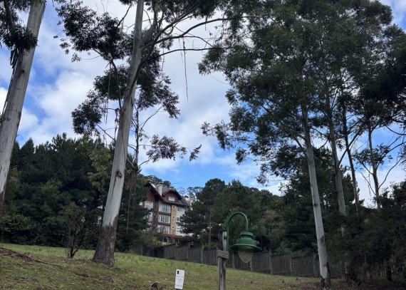 Terreno, no bairro Mato Queimado em Gramado