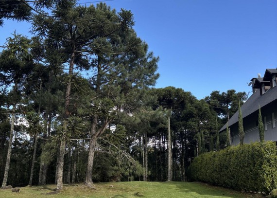 Terreno em Gramado